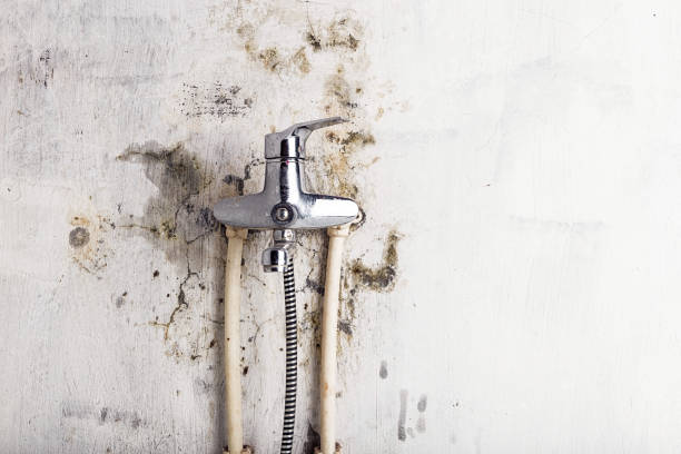 Best Fast Mold Removal  in Guthrie, OK