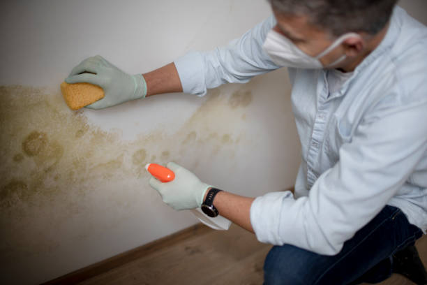 Best Emergency Mold Removal  in Guthrie, OK
