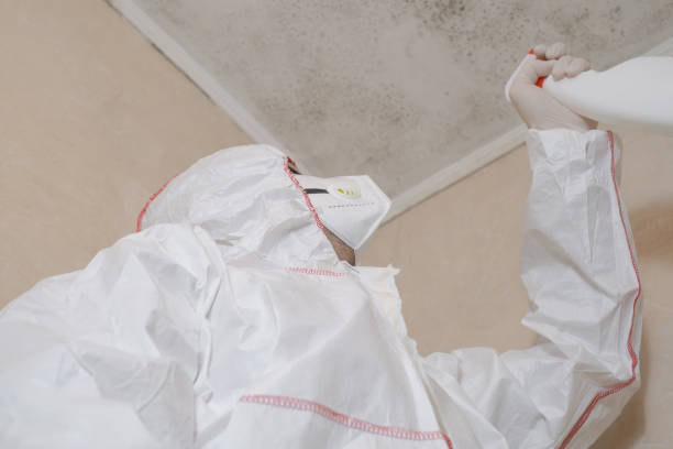 Best Black Mold Removal  in Guthrie, OK