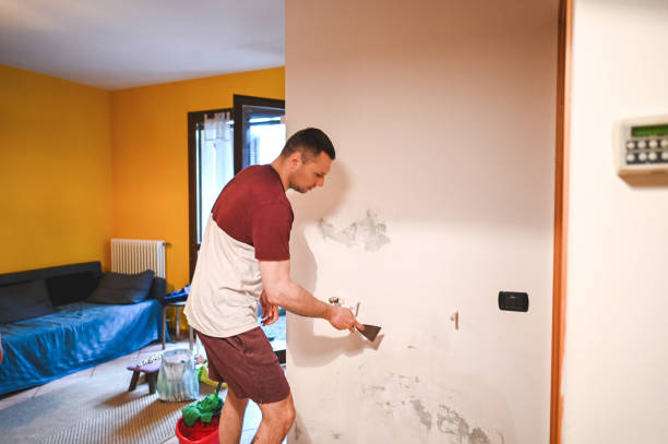 Best Mold Damage Repair  in Guthrie, OK