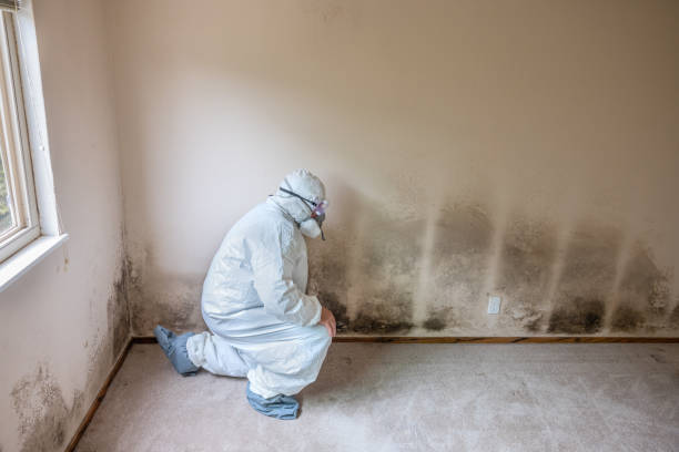 Best Mold Cleaning Services  in Guthrie, OK