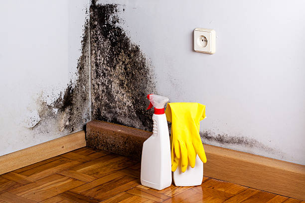 Best Residential Mold Removal  in Guthrie, OK