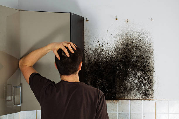 Trusted Guthrie, OK Mold Removal Experts